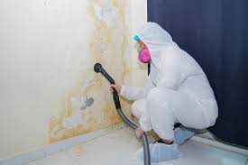  Coburg, OR Mold Removal Services Pros